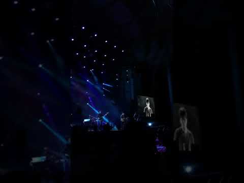 190622 넬 - 믿어선 안될 말 @파크콘서트