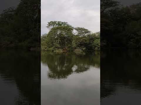 Lago en la Hosteria la Florida Tropical - Olaya, Antioquia, Colombia