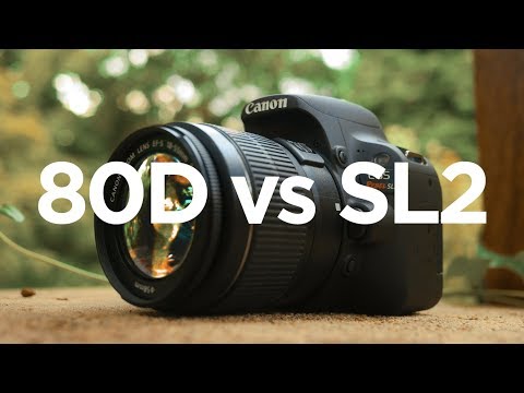 Canon SL2 (200D) vs 80D - Which Canon DSLR should you buy?
