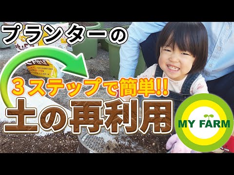 リサイクルされた物から作られたプランター: ポケットにゼロユーロを入れて庭を飾り、古いアイテムに第二の命を吹き込むための 10 以上の DIY アイデア  庭園