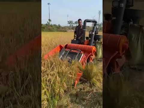 Mini. combine harvester 👌👌 #combine #harvester #short #shorts #agriculture