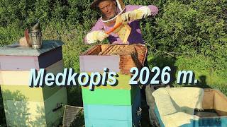 Medkopis 2026m.