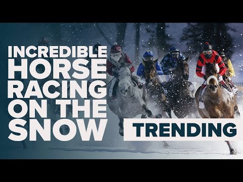 HORSE RACING ON SNOW | The White Turf in St Moritz
