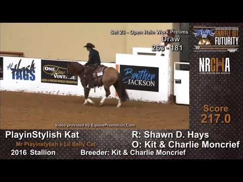 SMOKINN- Hottish x MH The Winning Move- 2019 NRCHA Snaffle Bit Futurity- Rein Work
