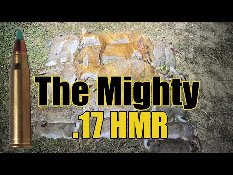 .17 HMR SUPERSONIC ACTION !