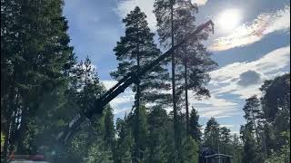 Volvo FL 614 4X2 Crane truck Repair object (VIDEO) flatbed truck for sale - Image 4 | Autoline GH Volvo FL 614 4X2 Crane truck Repair object (VIDEO) flatbed truck | Image 4 - Autoline