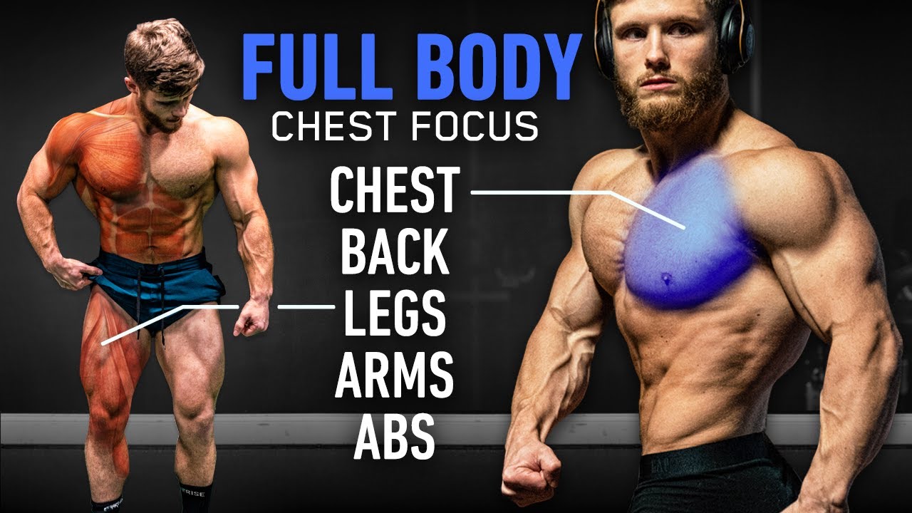 Perfect chest for workout 13 Best