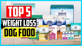 ✅Top 5 Best Weight Loss Dog Food Reviews in 2022