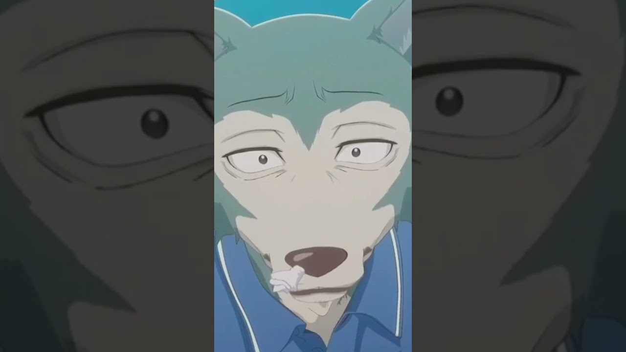 legoshi wallpaper beastars