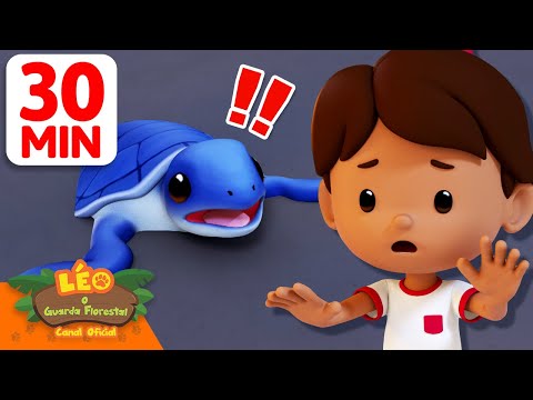 Ajude os filhotes de tartaruga-marinha a atravessar a praia! 🐢 | Leo, O Guarda Florestal | Animação