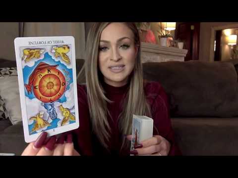 Sagittarius Weekly - 11/11 Portal & Astrology - Lessons Learned - Think BIG PICTURE!