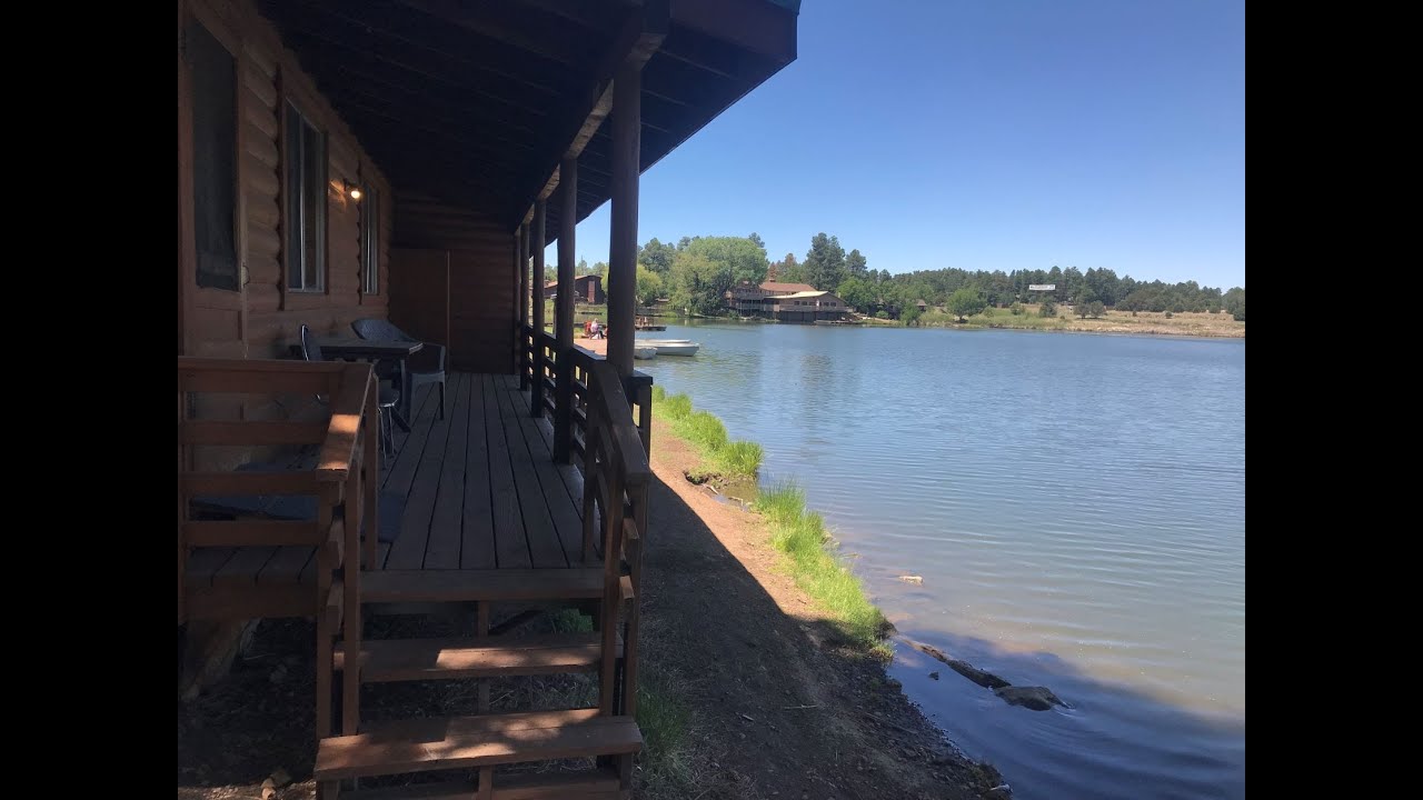 CABIN 21 – Lake View! (duplex with cabin 20) walkthrough