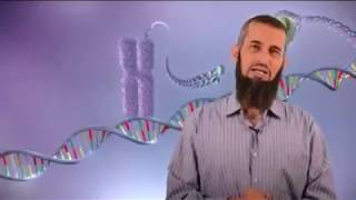 صورة ملحق لحلقة ١٨: حساب طول المادة الوراثية