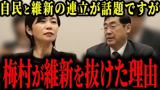 【参政党】梅村みずほが日本維新の会から参政党へ移った本当の理由。正直に話します【神谷宗幣/松田学/高市早苗】