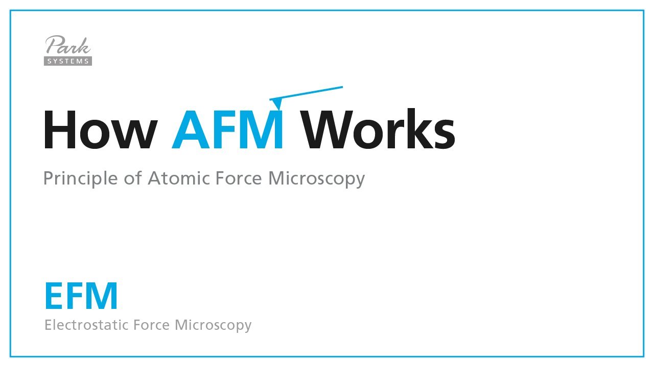 How AFM Works 3-2 Electrostatic Force Microscopy (EFM)