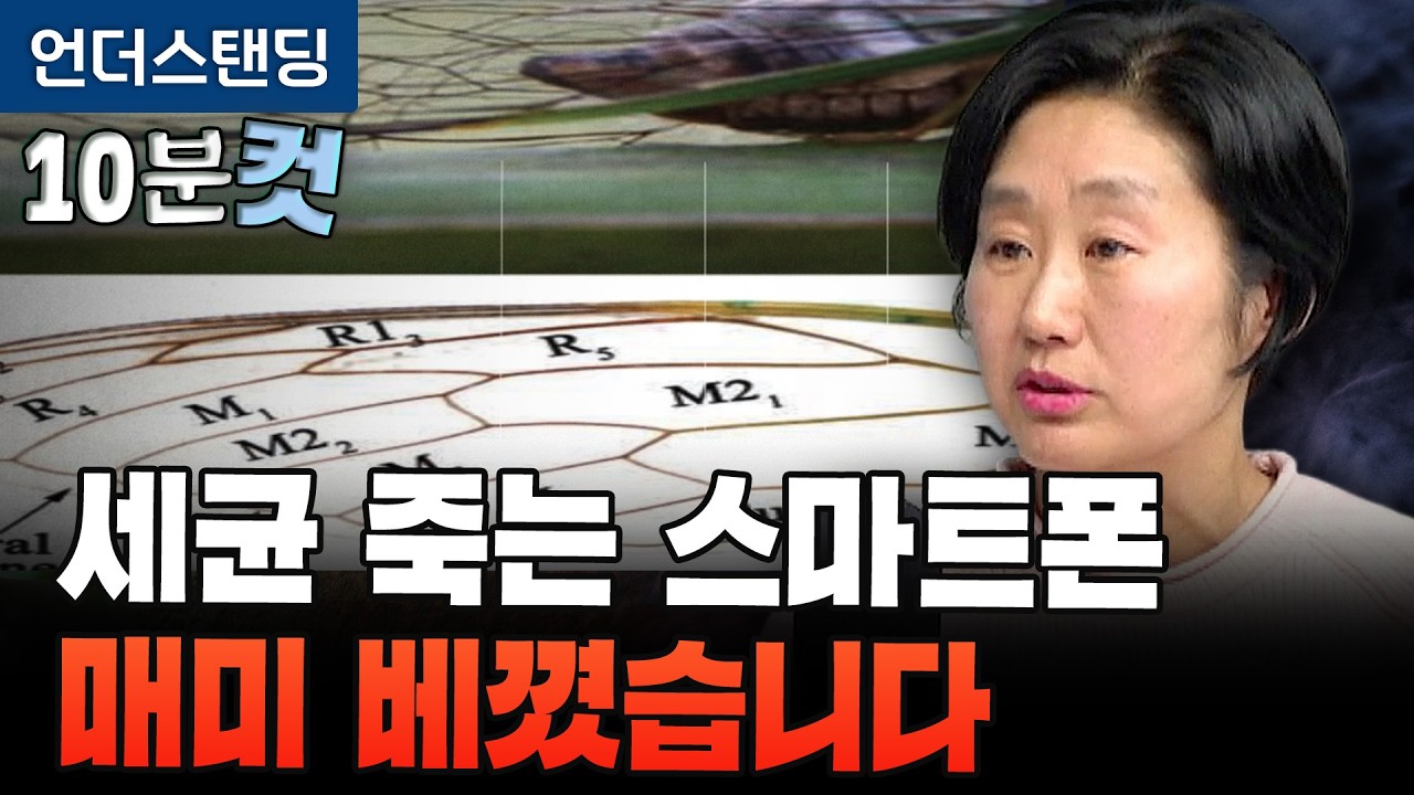 [10분컷] 대장균 찔러 죽이고 암세포 잡는다. 현미경으로 본 매미 날개의 비밀 (한국기계연구원 임현의 박사…