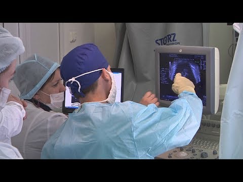 Как сделать сайт по образцу 55 Как сделать сайт по образцу 34