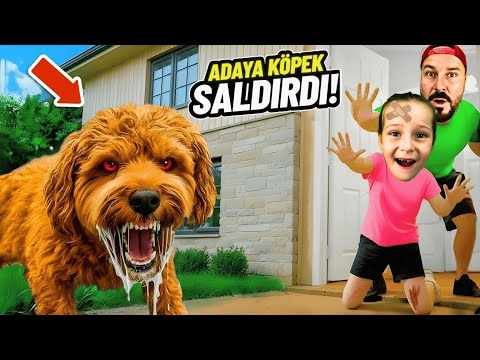 EYVAH BAHÇEYE KÖPEK GİRDİ ADA'YA SALDIRDI! ADA VE BABASI ÇOK TUHAF DAVRANIYOR! 