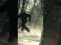 Hunter Claims Close Encounter with Sasquatch In Colorado