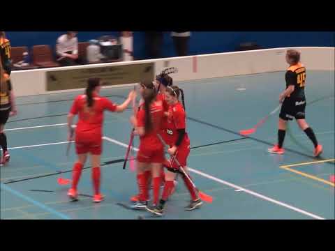 ATSM Steelers-Koovee, maalikooste, Iittala-halli 27.02.18 klo. 19:00