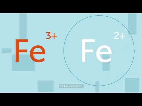 Probi FerroSorb® probiotic mode of action - Explainer video