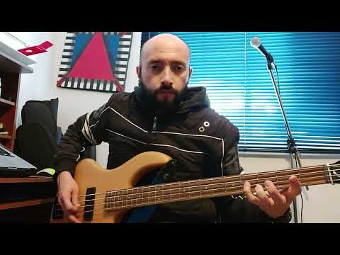 Wild World Bass Cover - Me First And The Gimme Gimmes -  Cat Stevens