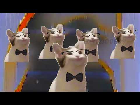 Once In A Lifetime (Cat Version)