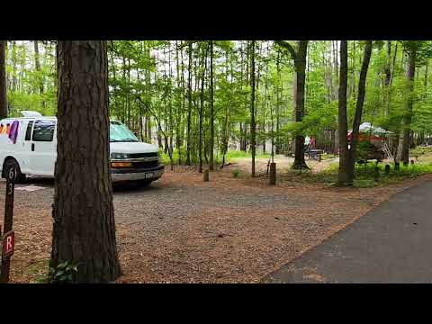 paved road through Mill Pond camping area