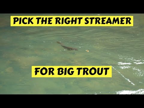 How To Pick The Right Streamer For Catching Big Trout