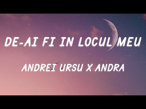 Andrei Ursu x Andra - De-ai fi în locul meu (Versuri / Lyrics)