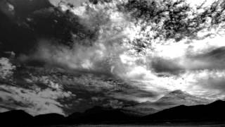 Animal collective - I think i can