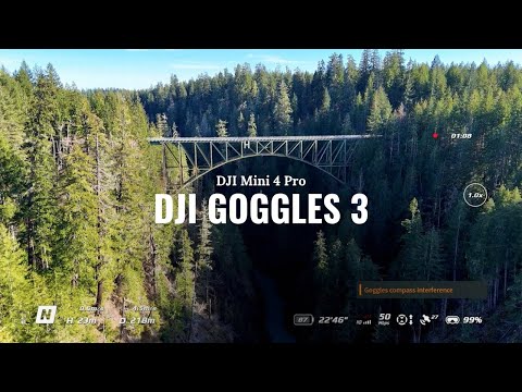 First Flight with DJI Goggles 3 on the DJI Mini 4 Pro #dji