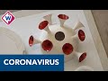 Coronacrisis inspireert twaalf Leidse kunstenaars - OMROEP WEST