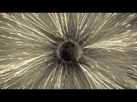 Before I Go to Sleep Trailer