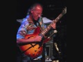 Larry Carlton - Goodbye