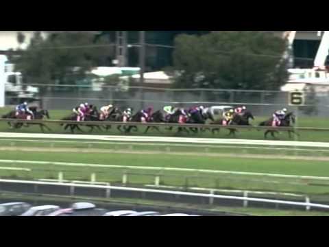 2005 Golden Slipper- Stratum