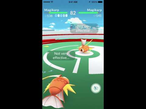 แนะนำเลย!! ถ้าต้องการหา Buddy ให้กับเทรนเนอร์ Magikarp คือตัวเลือกที่ ...