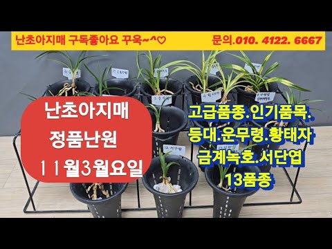 유튜브 썸네일