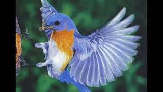 Bluebird by Leon Russell