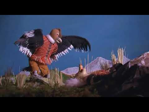 El Zorro y el condor(3)