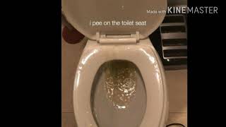 Savagerealm-i pee on the toilet seat