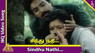 Sindhu Nathi Semeene Video Song  Ponnumani Movie S