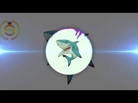 Aqui Llego Tu Tiburon 🦈💥(Guaracha Mix) Aleteo Zapateo Tribal (Prod. @DjMorphius  x Muzik Junkies)