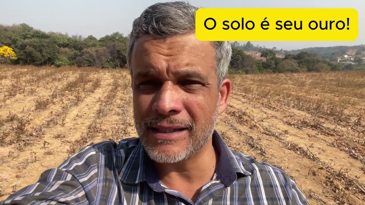 Como aumentar sua Rentabilidade nas áreas que planta milho para silagem