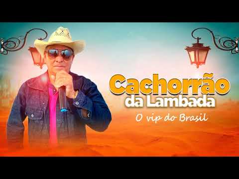 Cachorrão da Lambada | CD Completo, Vol.7 2021