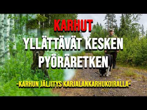 KARHUT KESKEYTTÄVÄT PYÖRÄRETKEN.