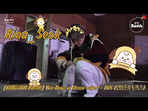 {Озвучка by Rina_Seok} [BANGTAN BOMB] You Have a Meow-sitor! - BTS (방탄소년단)