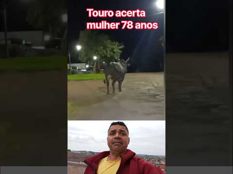 Touro parte pra cima escapa no Paraná!!