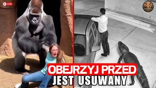 Zobaczysz TO Tylko RAZ W ŻYCIU! Zdarzenia Z Zoo RAZ NA MILIARD!