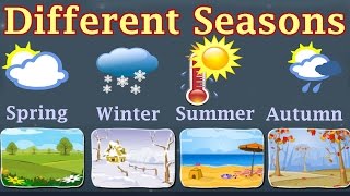 Weather, Different Seasons, Learn About Autumn, Winter, Spring, Summer, Preschool Activity